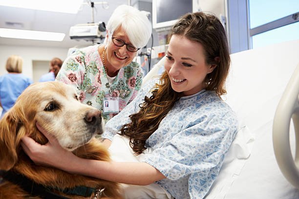 Animal Assisted Therapy Jobs